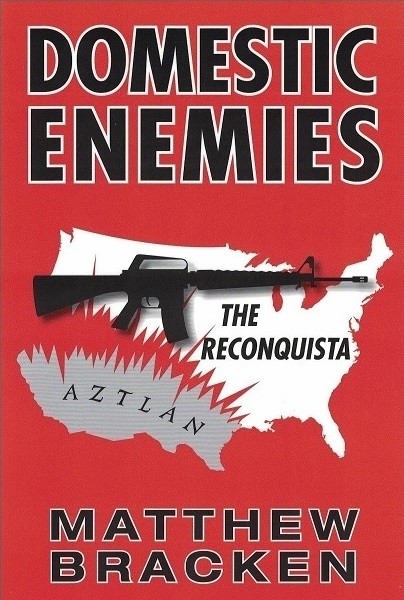 Domestic Enemies book cover.